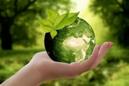 Hand hält eine grüne Erde
